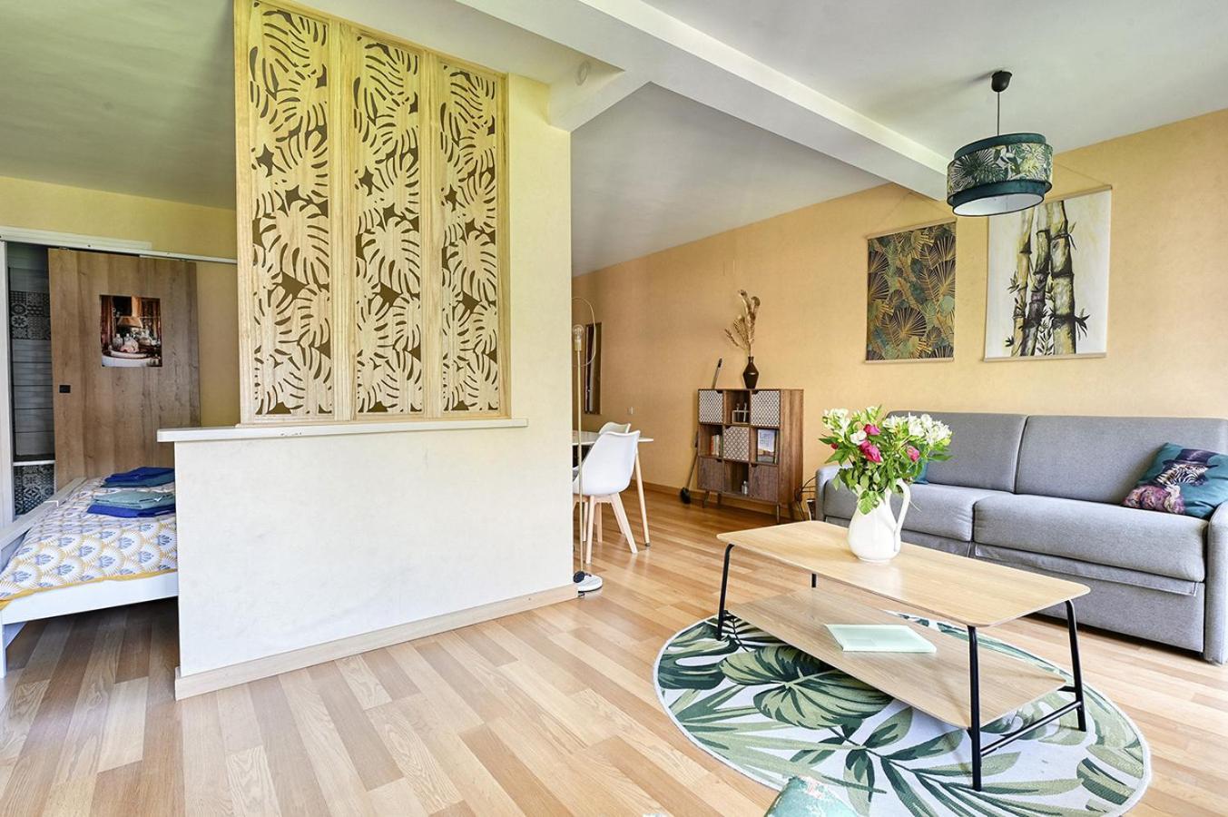 Apartment T1 Bis Idealement Situe Au Pied Des Thermes Amelie-les-bains
